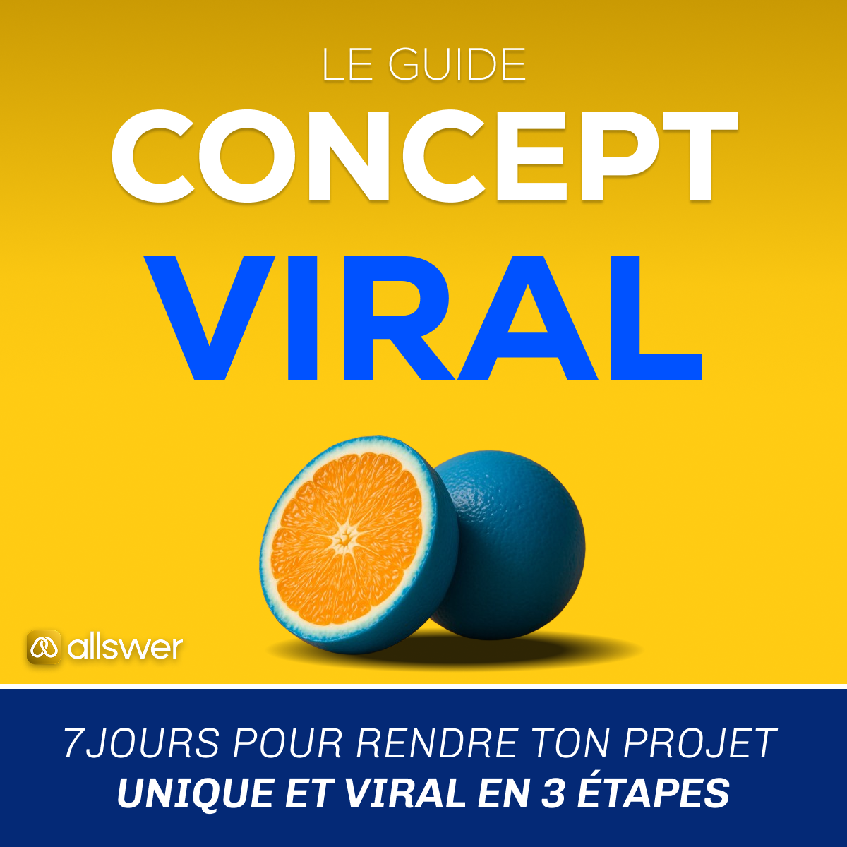 Le Guide "CONCEPT VIRAL" : 7 jours pour rendre ta marque viral sur instagram