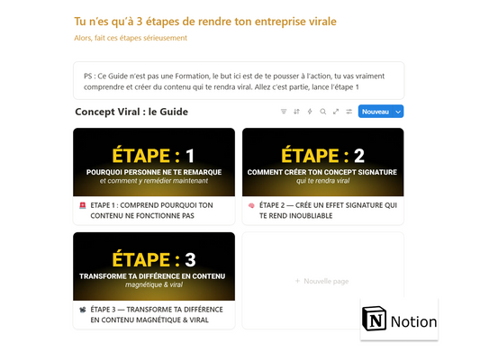 Le Guide "CONCEPT VIRAL" : 7 jours pour rendre ta marque viral sur instagram